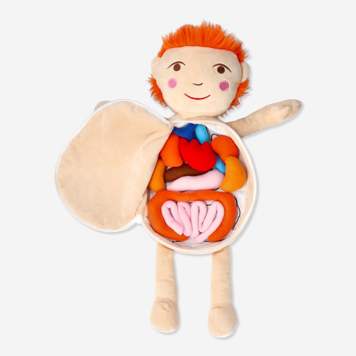 Anatomy doll