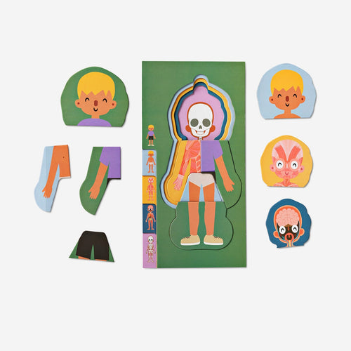 Anatomy puzzle