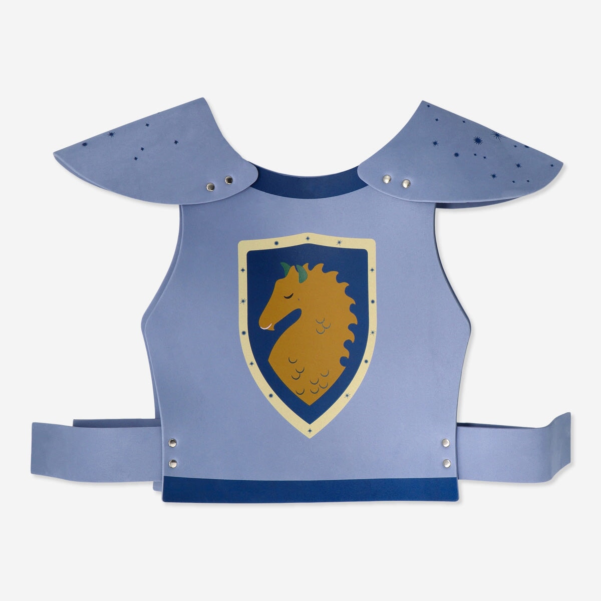 Armour. Kid