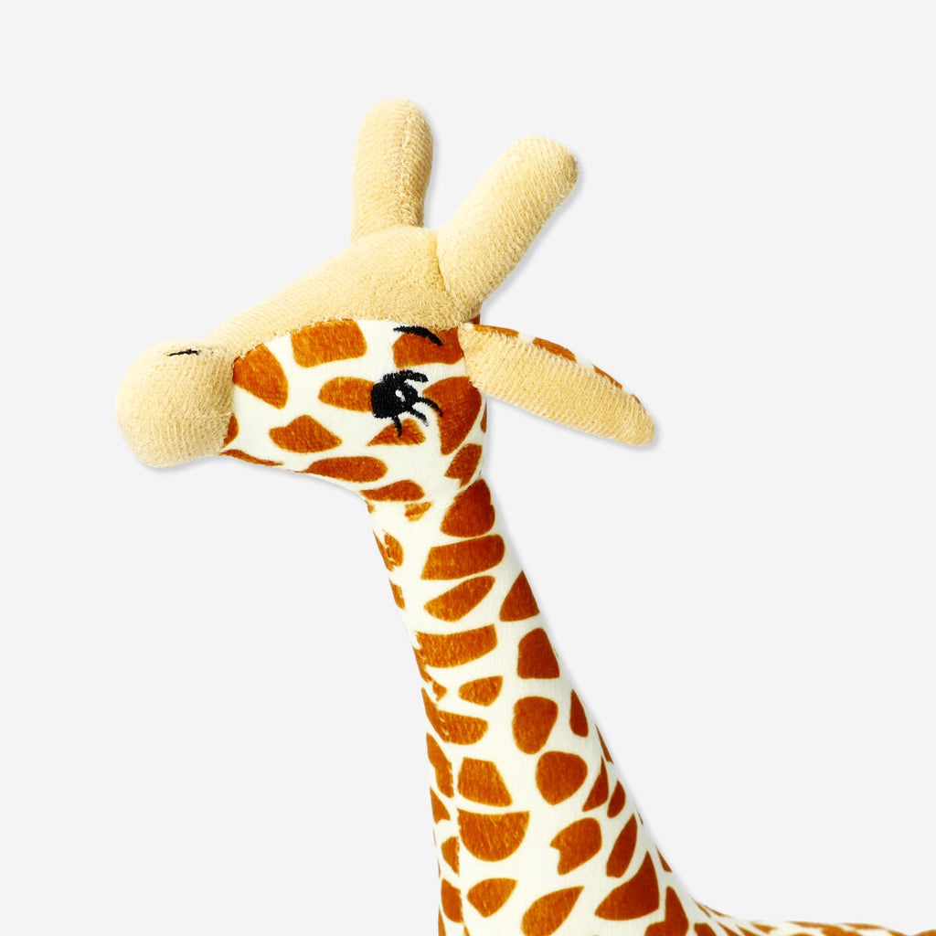 Cuddly friend