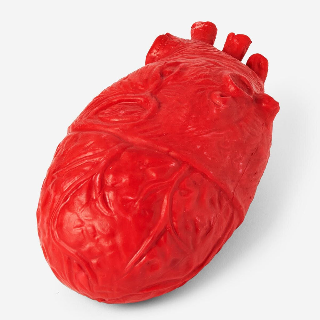 Heart