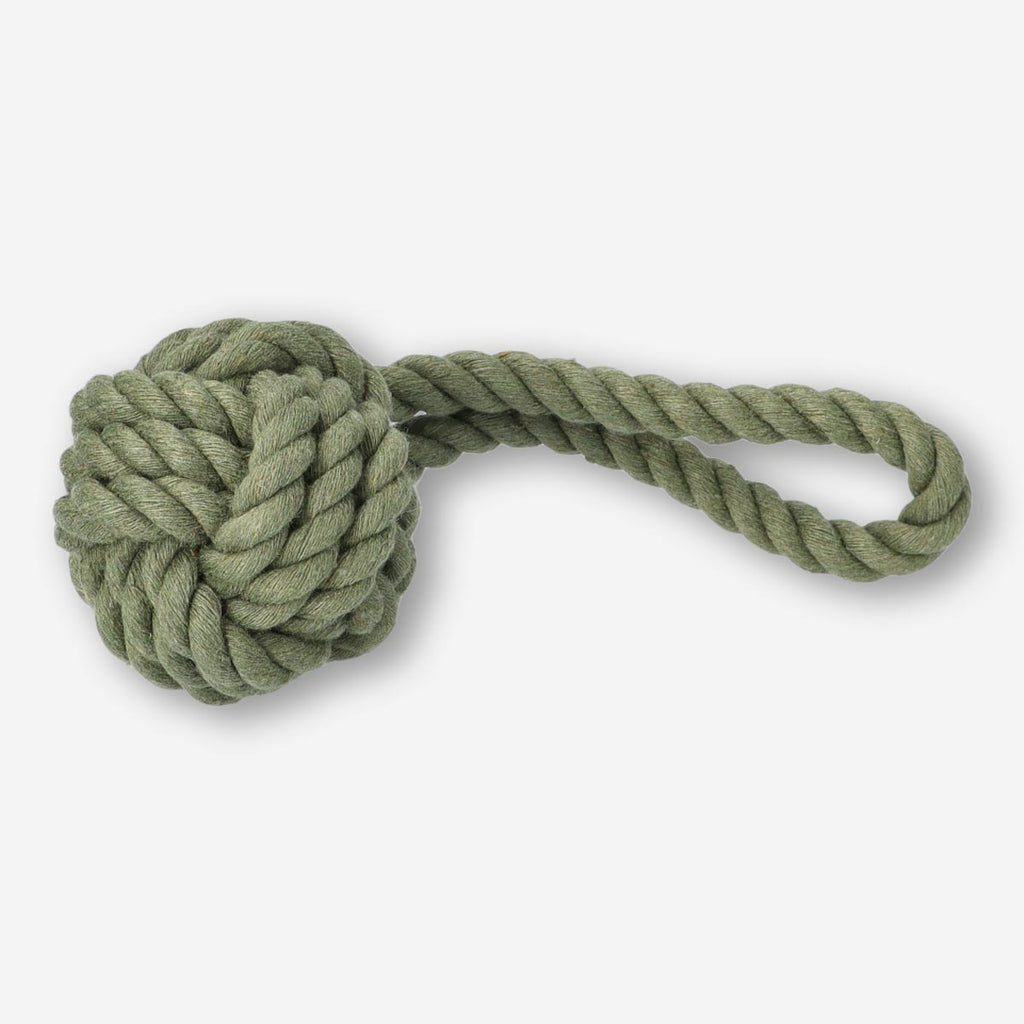 Pet toy
