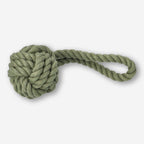 Pet toy