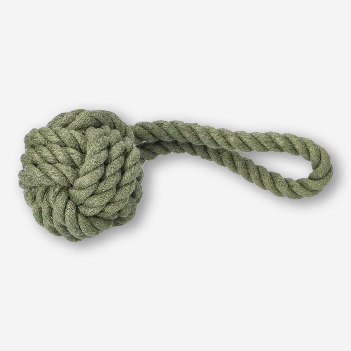 Pet toy