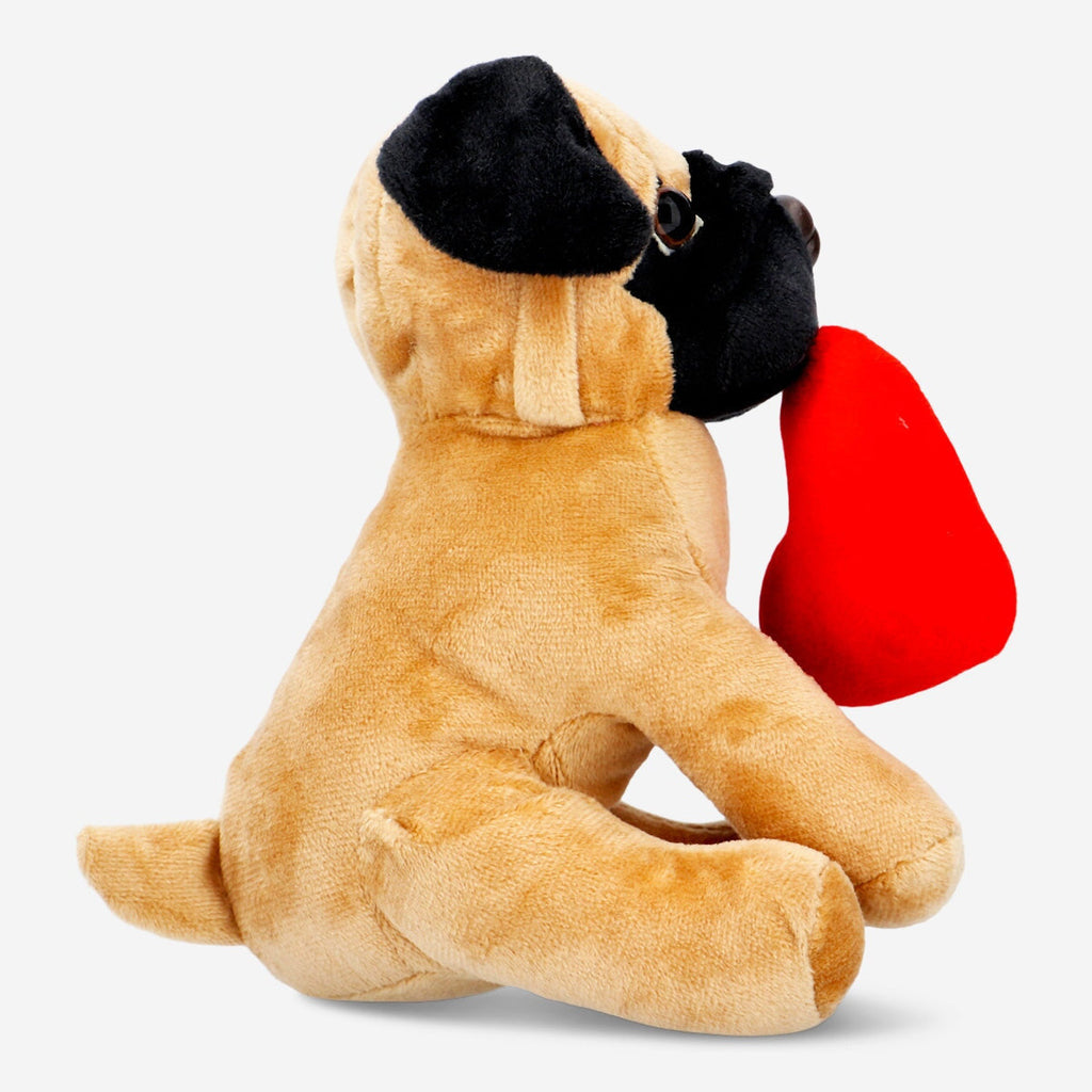 Pet toy