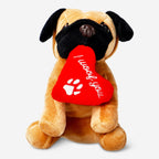 Pet toy