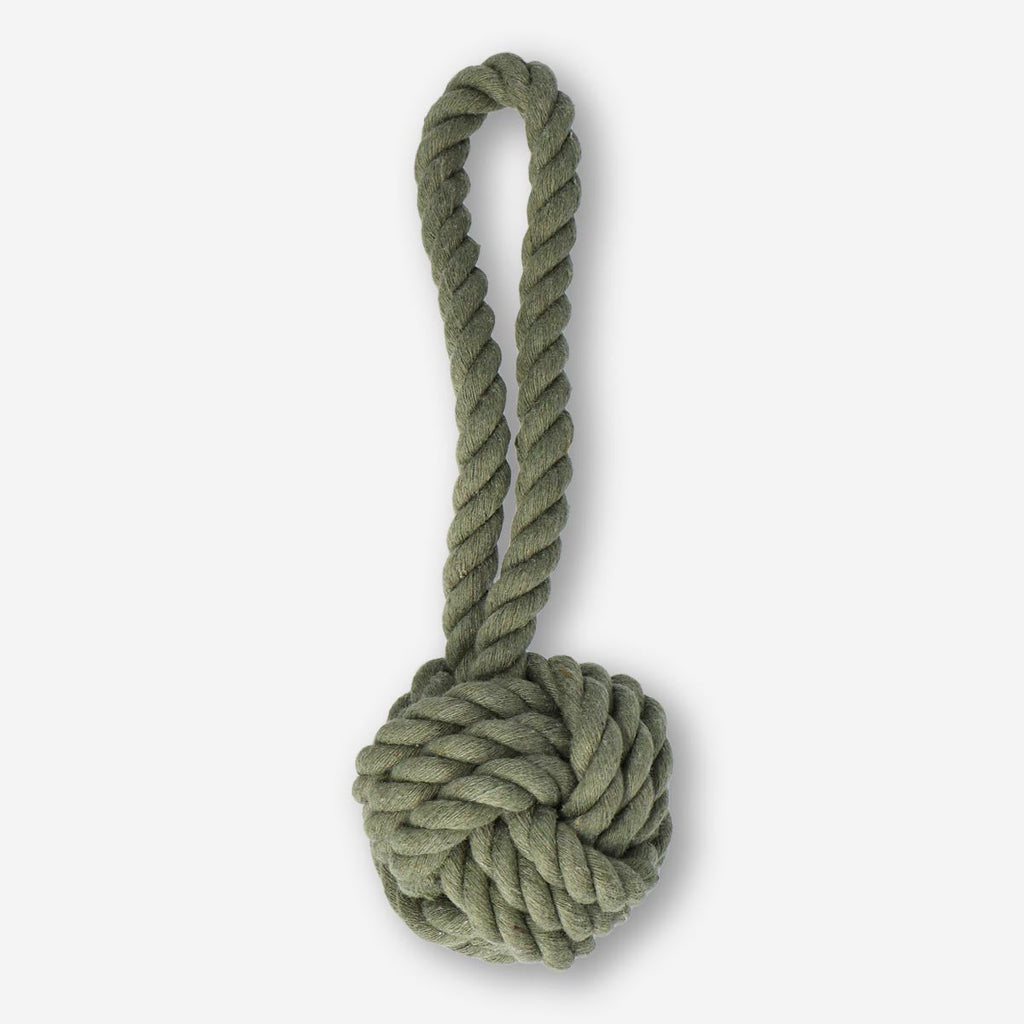 Pet toy