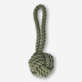 Pet toy