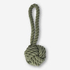 Pet toy
