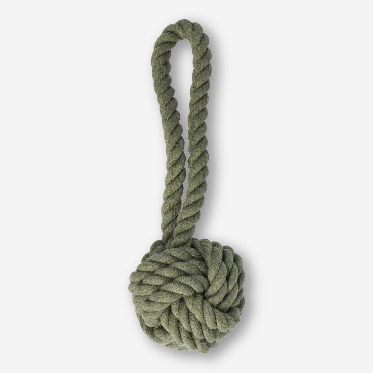 Pet toy
