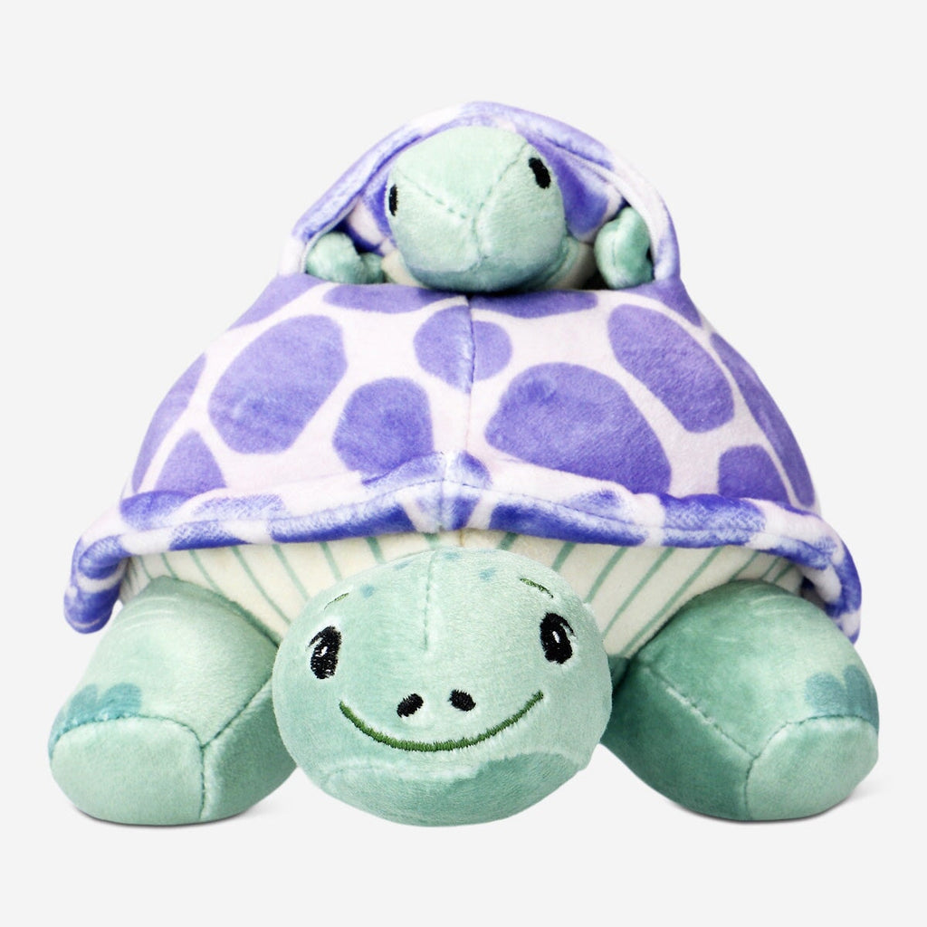 Turtle with hatchling