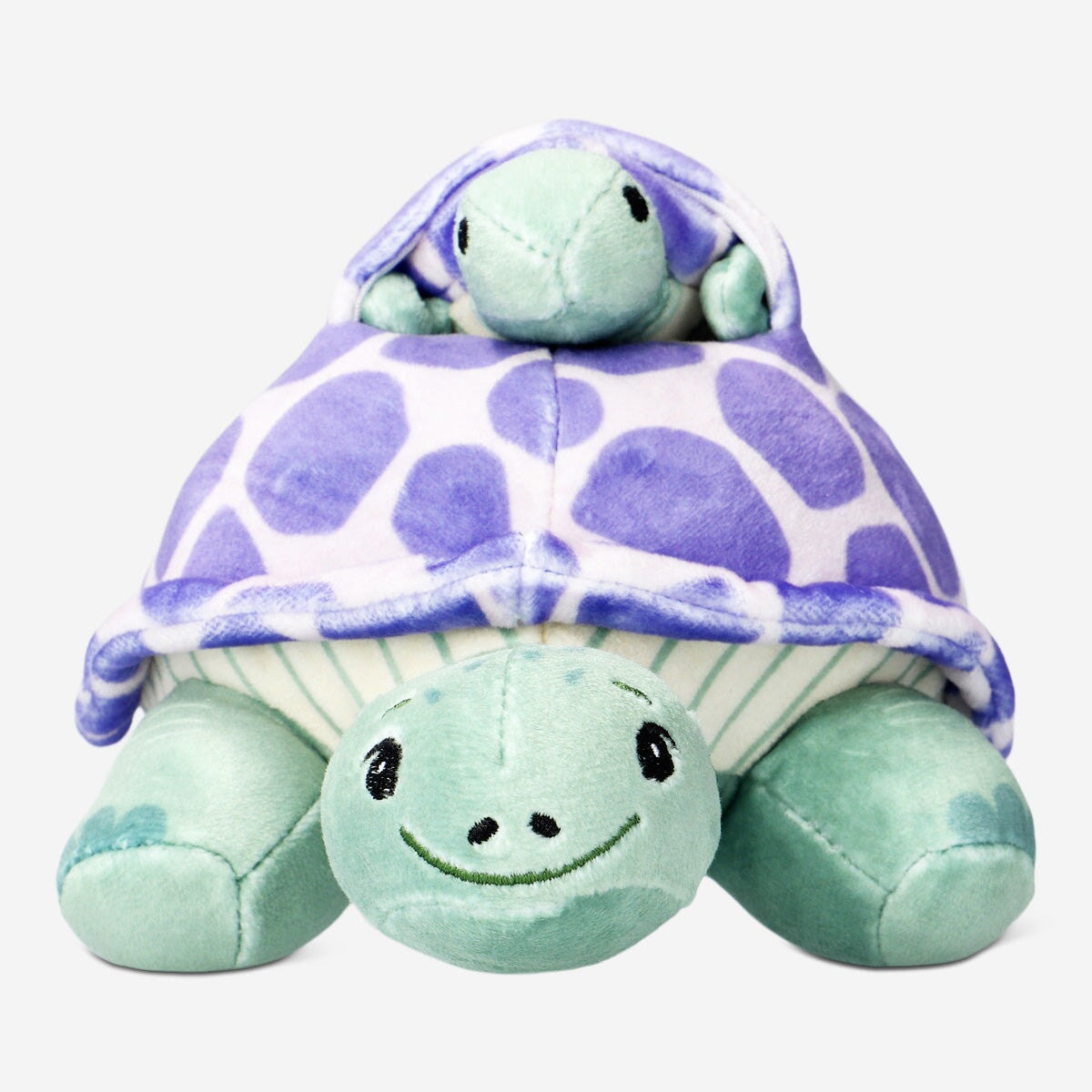Turtle with hatchling