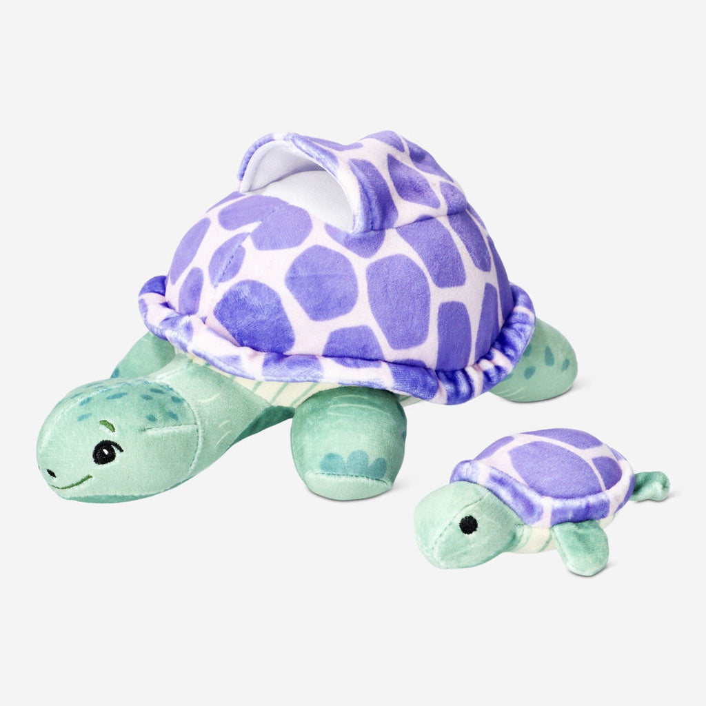 Turtle with hatchling