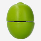 Wooden kiwi